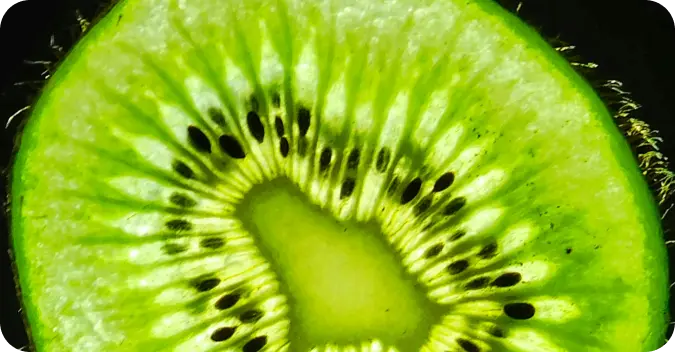 KIWI CODE
